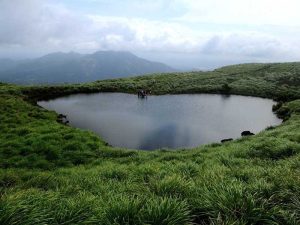 wayanad tour package 2 night 3 days