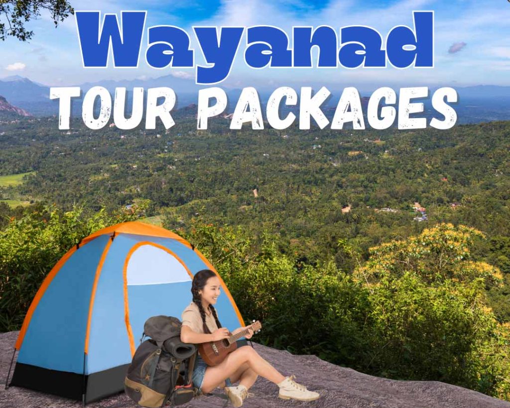 wayanad tour