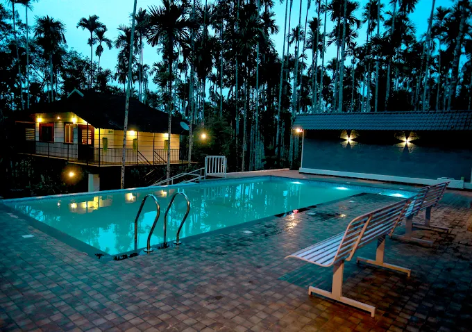 Wild side resort in wayanad