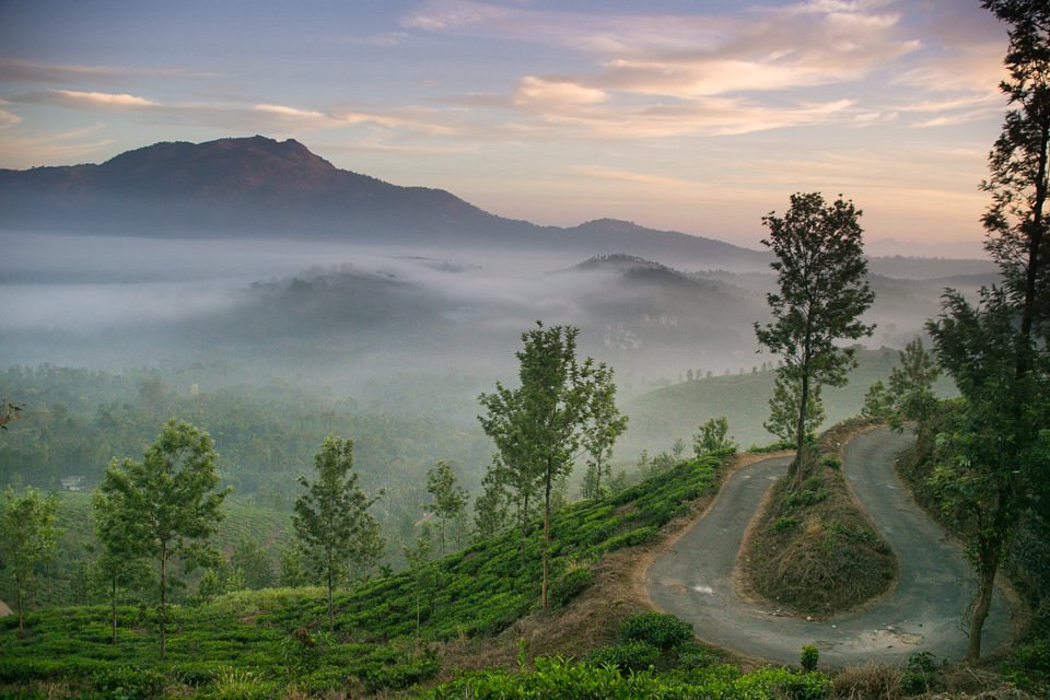 wayanad monsoon peak