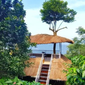 view wayanad